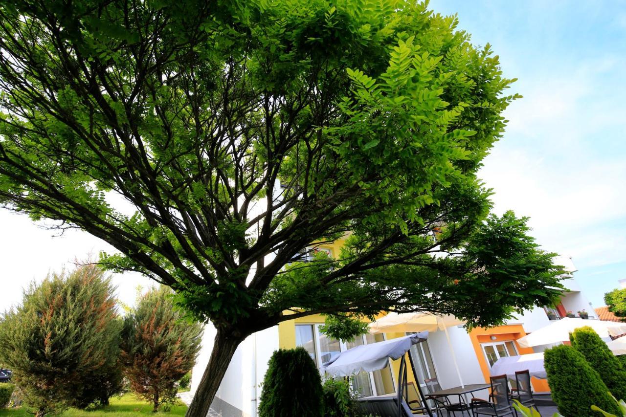 Stayinn Rainbow Houses Beachfront By Asteri Hotels Sunny Beach Dış mekan fotoğraf